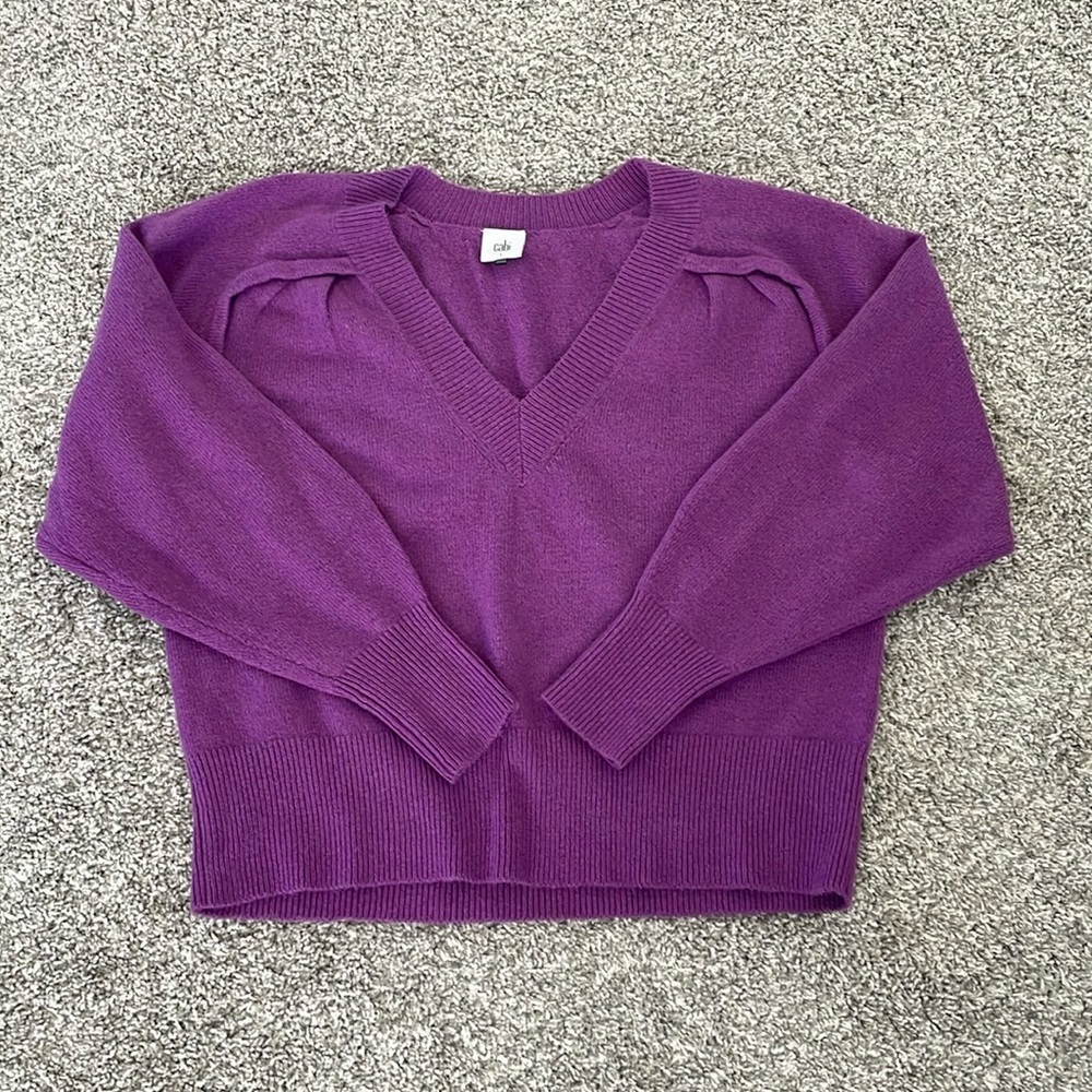 Cabi Sweater